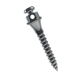 Miniparafuso Ortodôntico  (Compr.: 8mm  Transm.: 2mm  Ø1.5mm)